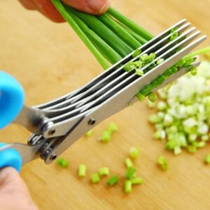 MultiPurpose 5 Blades Kitchen Scissors